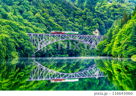 福島 只見線　水鏡の第一只見川橋梁を渡る列車 116643060