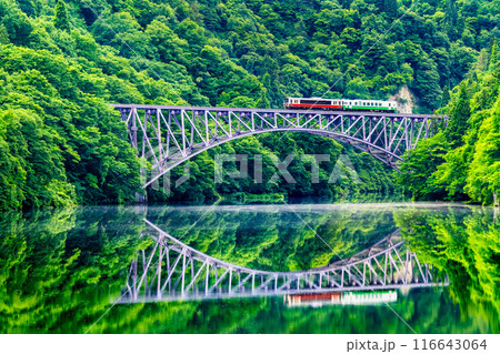 福島 只見線　水鏡の第一只見川橋梁を渡る列車 116643064