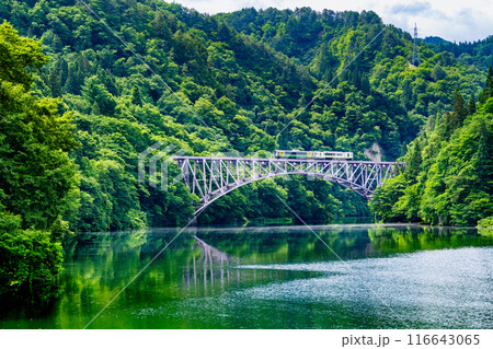 福島 只見線　夏の第一只見川橋梁を渡る列車 116643065