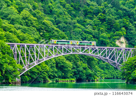 福島 只見線　夏の第一只見川橋梁を渡る列車 116643074