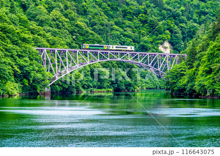 福島 只見線　夏の第一只見川橋梁を渡る列車 116643075