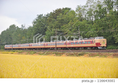 信越本線 安中ー群馬八幡 JR東日本 183系 OM101編成(大宮) 旅のプレゼント 信越本線 安中ー群馬八幡 JR東日本 183系 OM101編成(大宮) 旅のプレゼント 116643081