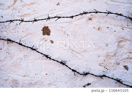 Background of barbed fence as a protection and for security reason Background of barbed fence as a protection and for security reason 116643105