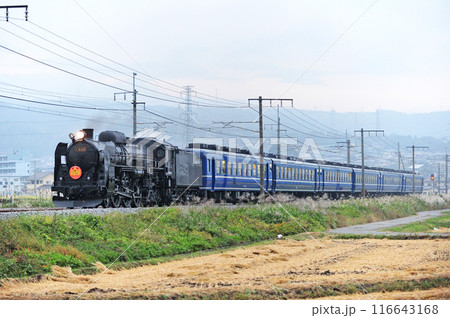 上越線　渋川ー八木原　JR東日本　C61-20＋12系（高崎）　SLみなかみ 116643168