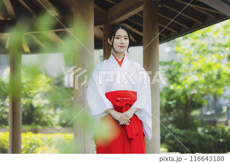 巫女さん 116643180