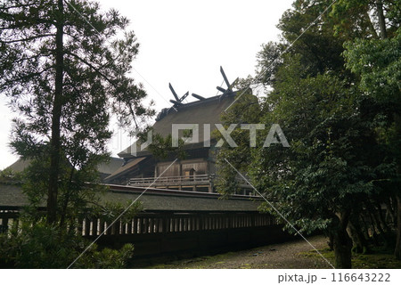 御本殿 御本殿 116643222