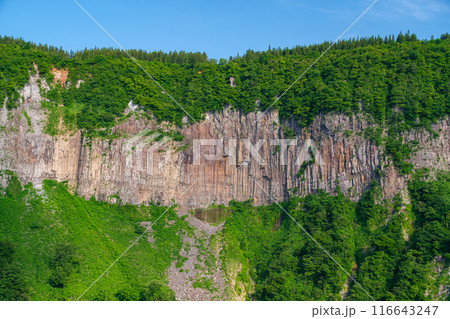 柱状節理の断崖 116643247