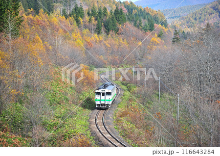 石北本線 生田原ー金華 JR北海道 キハ40-732(旭川) 石北本線 生田原ー金華 JR北海道 キハ40-732(旭川) 116643284