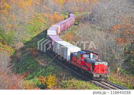 石北本線 生田原ー金華 JR貨物 DD51-1089(鷲別)+コキ+DD51-1047(鷲別) 石北本線 生田原ー金華 JR貨物 DD51-1089(鷲別)+コキ+DD51-1047(鷲別) 116643288