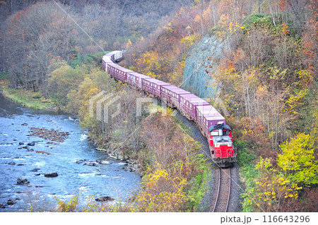 石北本線　白滝ー下白滝　JR貨物　DD51-1047（鷲別）＋コキ＋DD51-1089（鷲別） 116643296