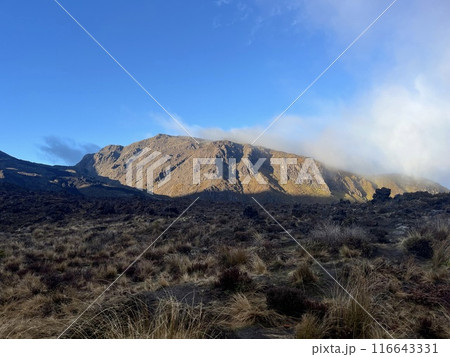 ニュージーランド北島にある世界遺産・トンガリロ国立公園 116643331