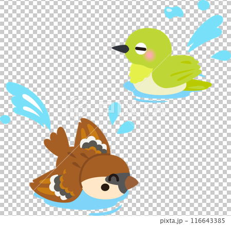 Sparrow and white-eye characters bathing in water Sparrow and white-eye characters bathing in water 116643385
