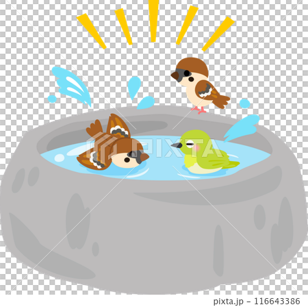 Sparrows and Japanese white-eyes bathing in a stone birdbath 116643386