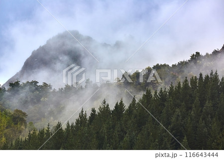 Mountains in mist in New Zealand Mountains in mist in New Zealand 116643444