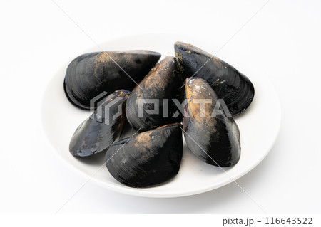 生のムール貝 116643522