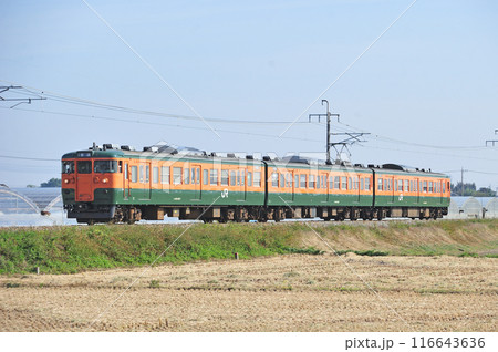 両毛線　伊勢原ー駒形　JR東日本　115系　T1037編成（高崎） 116643636