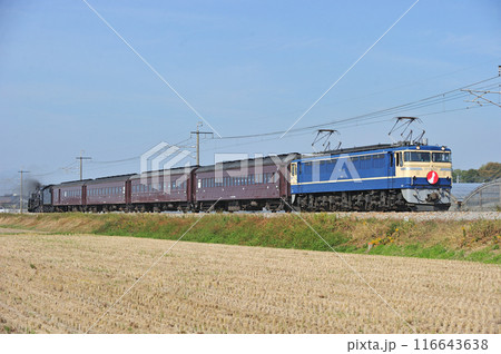 両毛線　駒形ー伊勢原　JR東日本　EF65-501＋旧客＋C61-20（高崎）　試運転 116643638