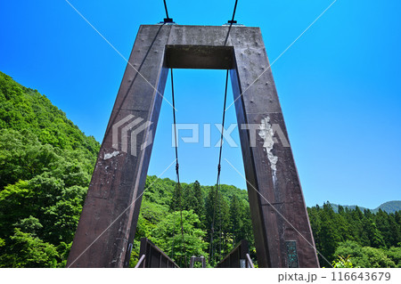 鉄橋 初夏の大源太キャニオン 新潟県湯沢町 鉄橋 初夏の大源太キャニオン 新潟県湯沢町 116643679