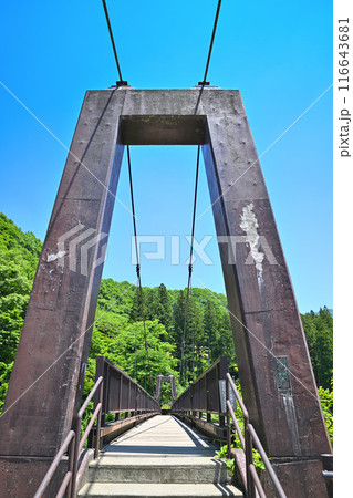 鉄橋　初夏の大源太キャニオン　新潟県湯沢町　 116643681