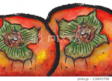 手描きの水彩画(絵手紙)「熟した柿」二個 116643786