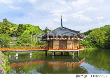 奈良　安倍文殊院　金閣浮御堂・霊宝館 116643805