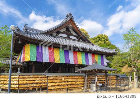 奈良　安倍文殊院　本堂 116643809