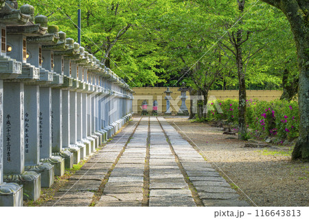 奈良　安倍文殊院　石畳の参道 116643813