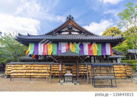 奈良 安倍文殊院 本堂 奈良 安倍文殊院 本堂 116643815