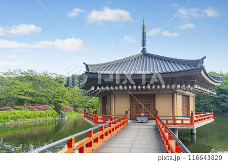 奈良 安倍文殊院 金閣浮御堂・霊宝館 奈良 安倍文殊院 金閣浮御堂・霊宝館 116643820