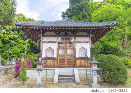 奈良　安倍文殊院　不動堂 116643821