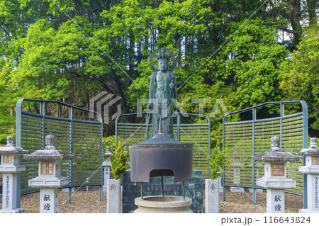 奈良　安倍文殊院　十一面観音 116643824