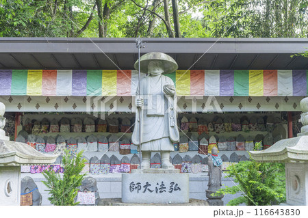 奈良　安倍文殊院　石仏 116643830