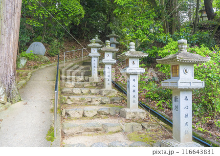 奈良 安倍文殊院 石灯籠と石段 奈良 安倍文殊院 石灯籠と石段 116643831
