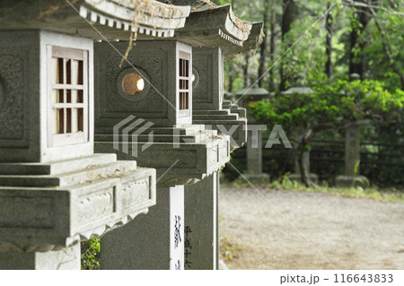 奈良 安倍文殊院 石灯籠と石段 奈良 安倍文殊院 石灯籠と石段 116643833