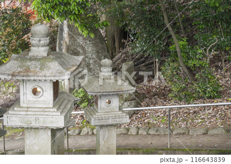 奈良　安倍文殊院　石灯籠と石段 116643839