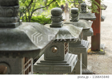 奈良 安倍文殊院 石灯籠と石段 奈良 安倍文殊院 石灯籠と石段 116643840