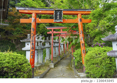 奈良　安倍文殊院　稲荷社 116643845