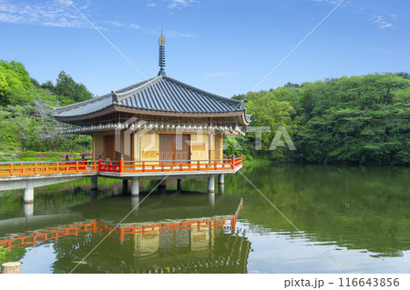 奈良 安倍文殊院 金閣浮御堂・霊宝館 奈良 安倍文殊院 金閣浮御堂・霊宝館 116643856