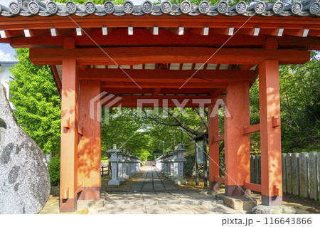 奈良　安倍文殊院　表山門 116643866