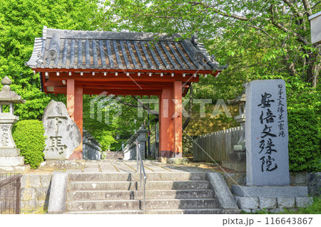 奈良 安倍文殊院 表山門 奈良 安倍文殊院 表山門 116643867