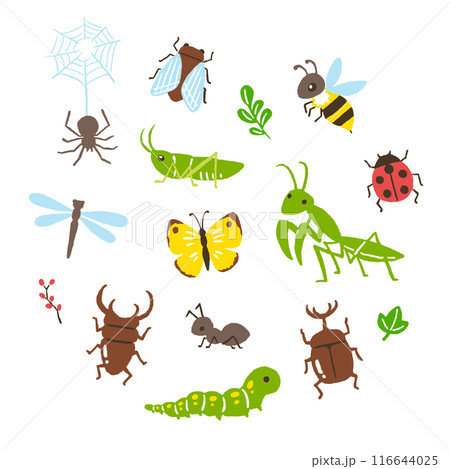 simple hand writing illustration of insects 116644025