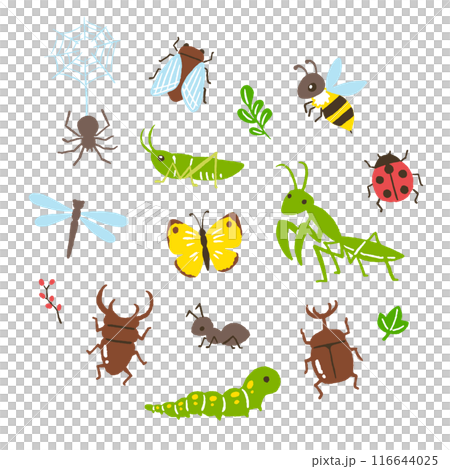 simple hand writing illustration of insects 116644025