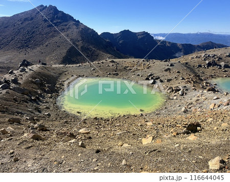 ニュージーランド北島にある世界遺産・トンガリロ国立公園 ニュージーランド北島にある世界遺産・トンガリロ国立公園 116644045