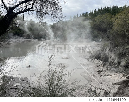 ニュージーランド北島・ワイオタプにあるマッドプール 116644190