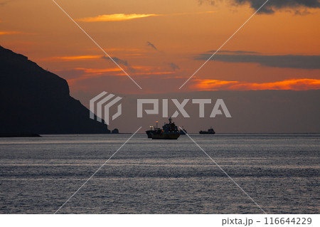 テネリフェ島 テネリフェ島 116644229