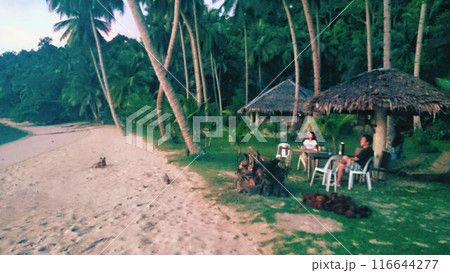 フィリピンの貸切ビーチで、波の音が穏やかに打ち寄せ、風が優しく吹き、虫や鳥の音が自然のハーモニーを奏 116644277