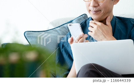 ソファでパソコンとスマホを操作するミドル男性 116644339