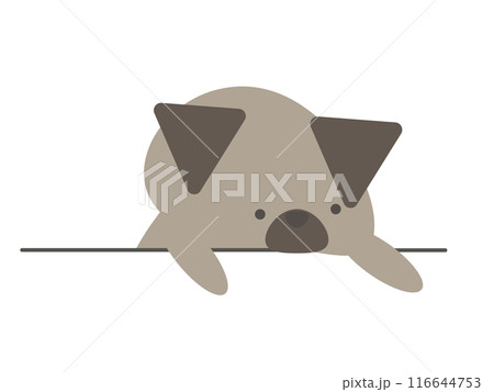 疲れた犬 116644753