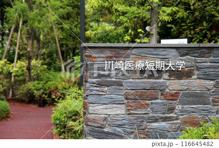 川崎医療短期大学 116645482