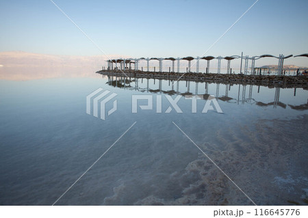 Evening landscape of the Dead Sea shore 116645776
